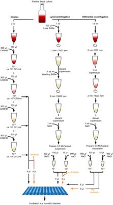 Detection of Methicillin Resistance in Staphylococcus aureus From Agar Cultures and Directly From Positive Blood Cultures Using MALDI-TOF Mass Spectrometry-Based Direct-on-Target Microdroplet Growth Assay